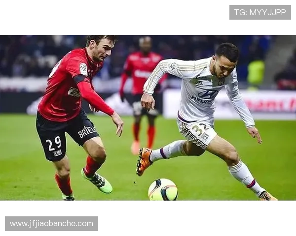 图卢兹防线表现 图卢兹防线表现